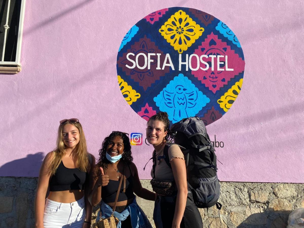 Sofia Hostel Cabo 카보산루카스 외부 사진