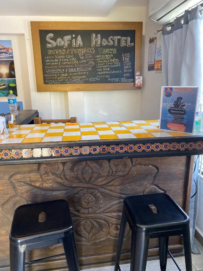 Sofia Hostel Cabo 카보산루카스 외부 사진